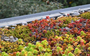 the cost of Camusnagaul green roof installation