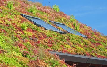 Camusnagaul living roof systems
